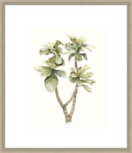 Biella Art framed prints melbourne