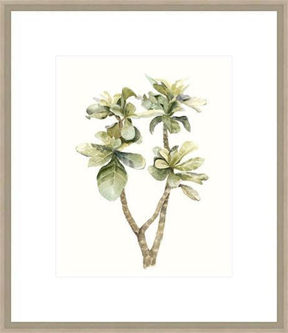 Biella Art framed prints melbourne