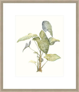 Biella Art framed prints melbourne