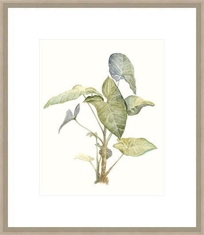 Biella Art framed prints melbourne
