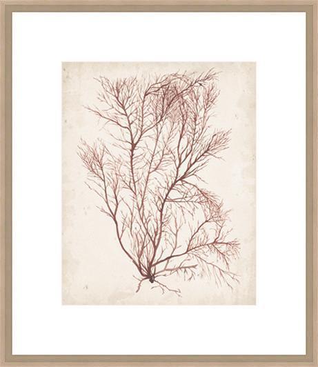 Biella Art framed prints melbourne