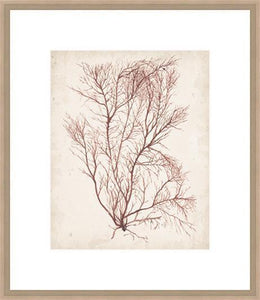 Biella Art framed prints melbourne