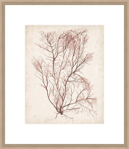 Biella Art framed prints melbourne