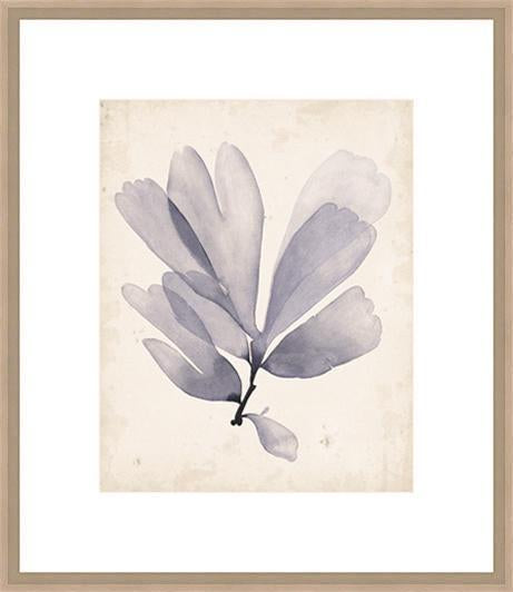 Biella Art framed prints melbourne
