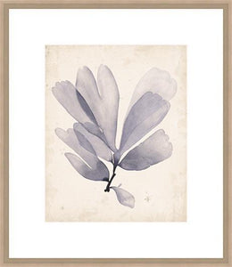 Biella Art framed prints melbourne