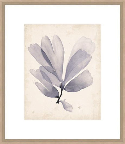 Biella Art framed prints melbourne