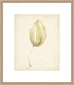 Biella Art framed prints melbourne