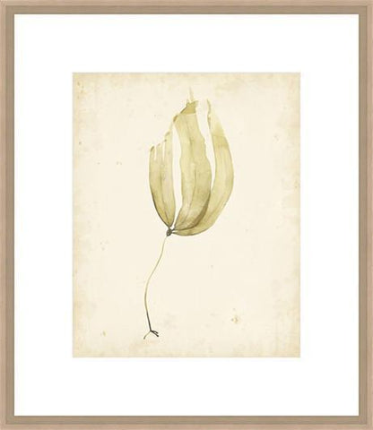 Biella Art framed prints melbourne