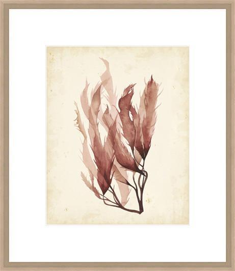 Biella Art framed prints melbourne