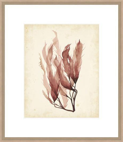 Biella Art framed prints melbourne