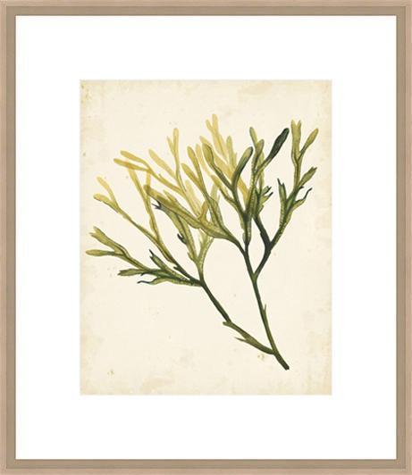 Biella Art framed prints melbourne
