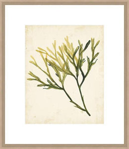 Biella Art framed prints melbourne