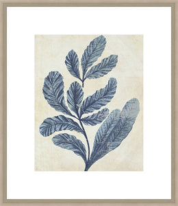 Biella Art framed prints melbourne
