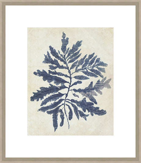 Biella Art framed prints melbourne