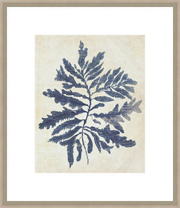 Biella Art framed prints melbourne