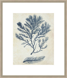 Biella Art framed prints melbourne