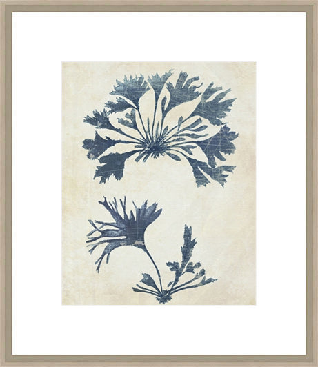 Biella Art framed prints melbourne