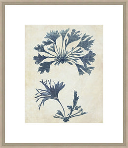 Biella Art framed prints melbourne