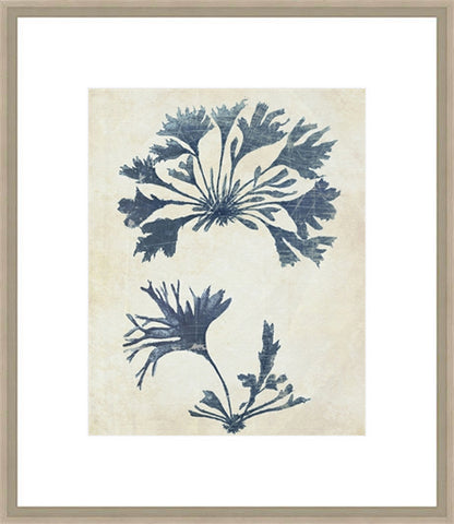 Biella Art framed prints melbourne