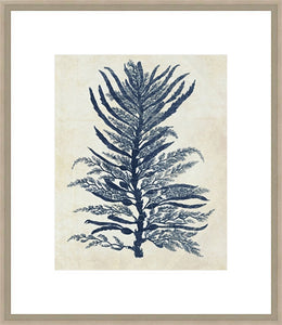 Biella Art framed prints melbourne