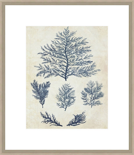 Biella Art framed prints melbourne