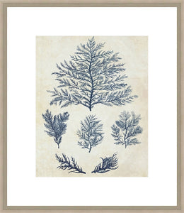 Biella Art framed prints melbourne