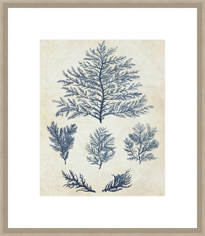 Biella Art framed prints melbourne