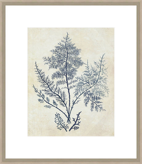 Biella Art framed prints melbourne
