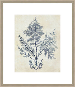 Biella Art framed prints melbourne