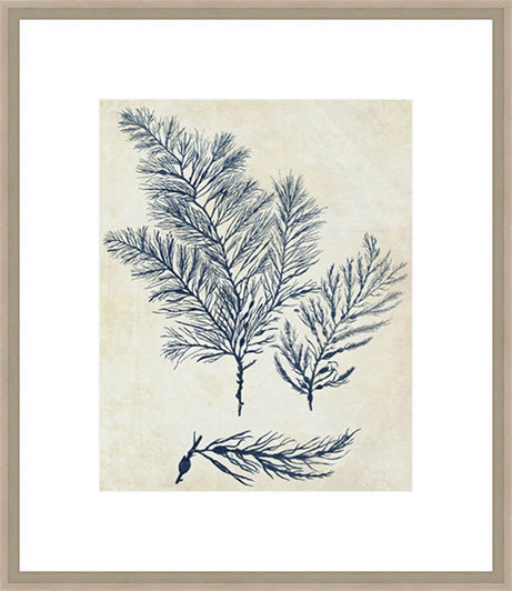 Biella Art framed prints melbourne