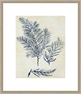 Biella Art framed prints melbourne