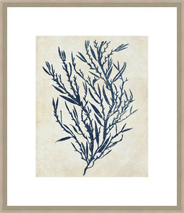 Biella Art framed prints melbourne