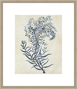 Biella Art framed prints melbourne