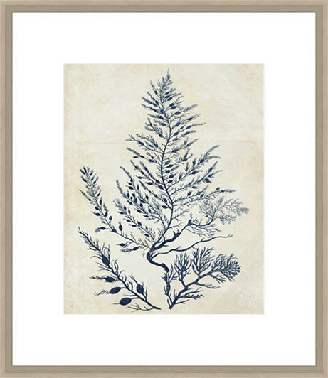 Biella Art framed prints melbourne