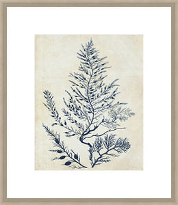 Biella Art framed prints melbourne