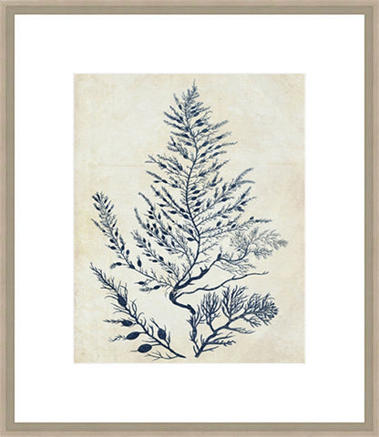 Biella Art framed prints melbourne