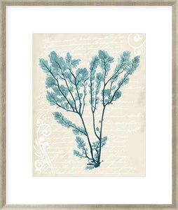 Biella Art framed prints melbourne