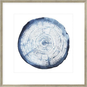 Tree Ring Overlay I