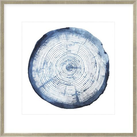 Tree Ring Overlay I