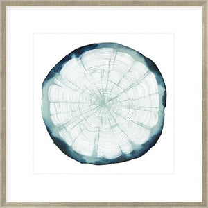 Tree Ring Overlay Ii