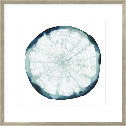 Tree Ring Overlay Ii
