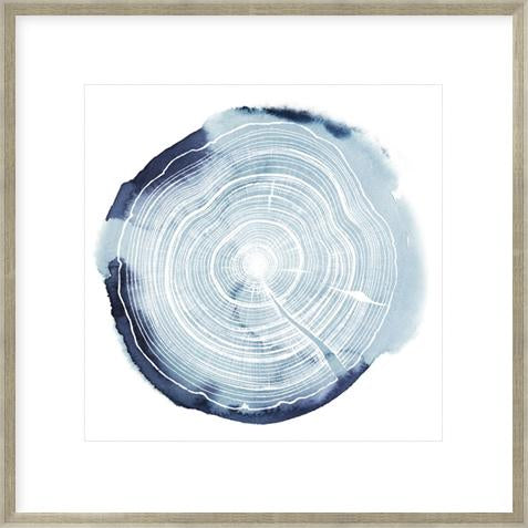 Tree Ring Overlay III – Biella Art