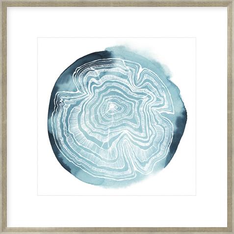 Tree Ring Overlay Iv
