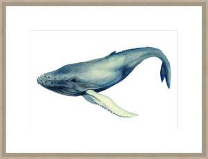 Biella Art framed prints melbourne