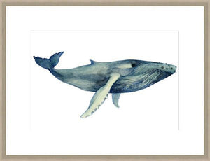 Biella Art framed prints melbourne