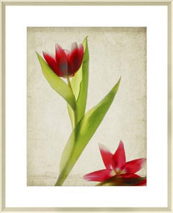 Parchment Flowers II