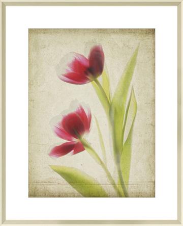 Parchment Flowers III