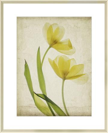 Parchment Flowers IV