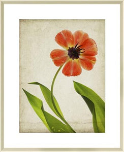 Parchment Flowers V