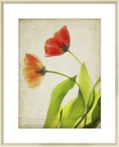 Parchment Flowers VI
